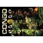 Congo Alternate Translite