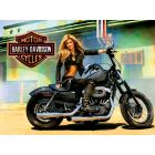 Harley Davidson Alternate Translite 2