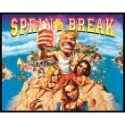 Spring Break Alternate Translite